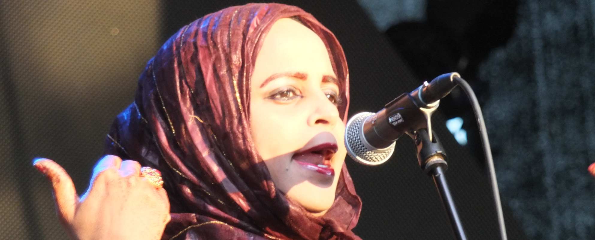 Mauritaania lauljatar Noura Mint Seymali. FOTO AVO KARTUL