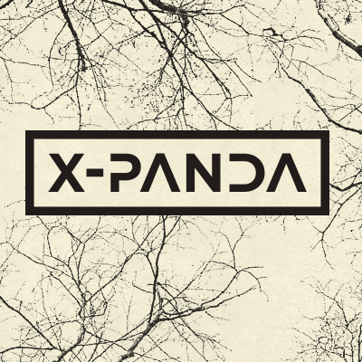 Reflections. X-Panda / X-Panda