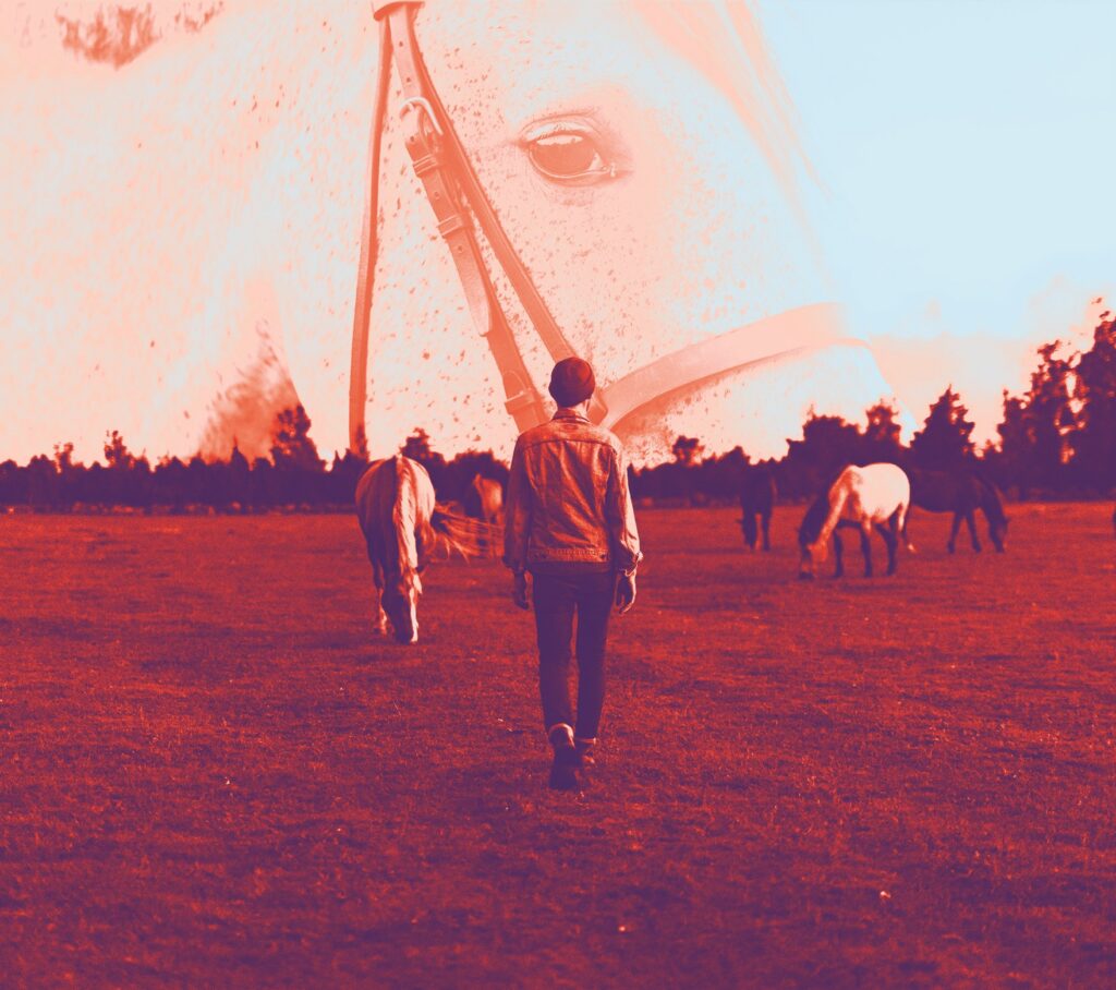 Efterglow. Erki P&auml;rnoja / Erik Lindstr&ouml;m Music