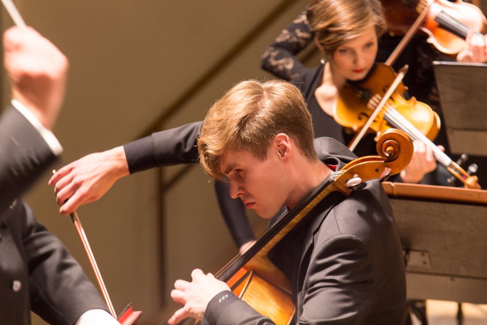 &ldquo;S&uuml;gisFesti&rdquo; heliviljad