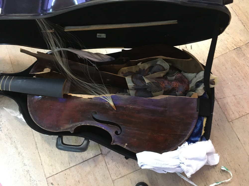 Itaalia lennufirma Alitalia hävitas viola da gamba