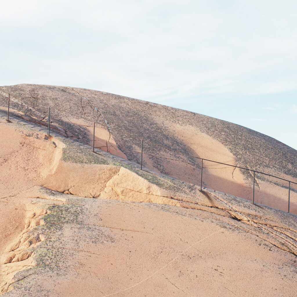 Woolgathering. Liis Ring / Õunaviks
