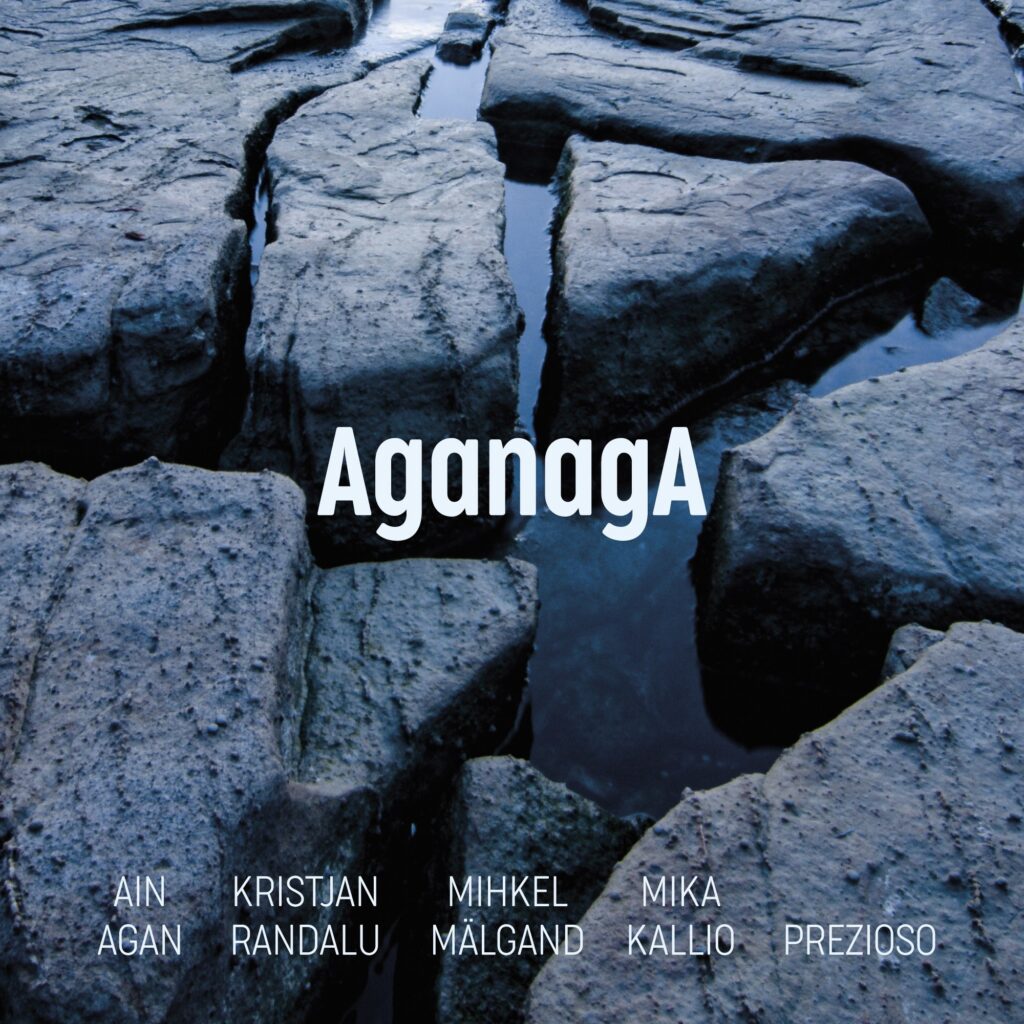 AganagA. Agan, Randalu, Mälgand, Kallio, Prezioso / Ain Agan