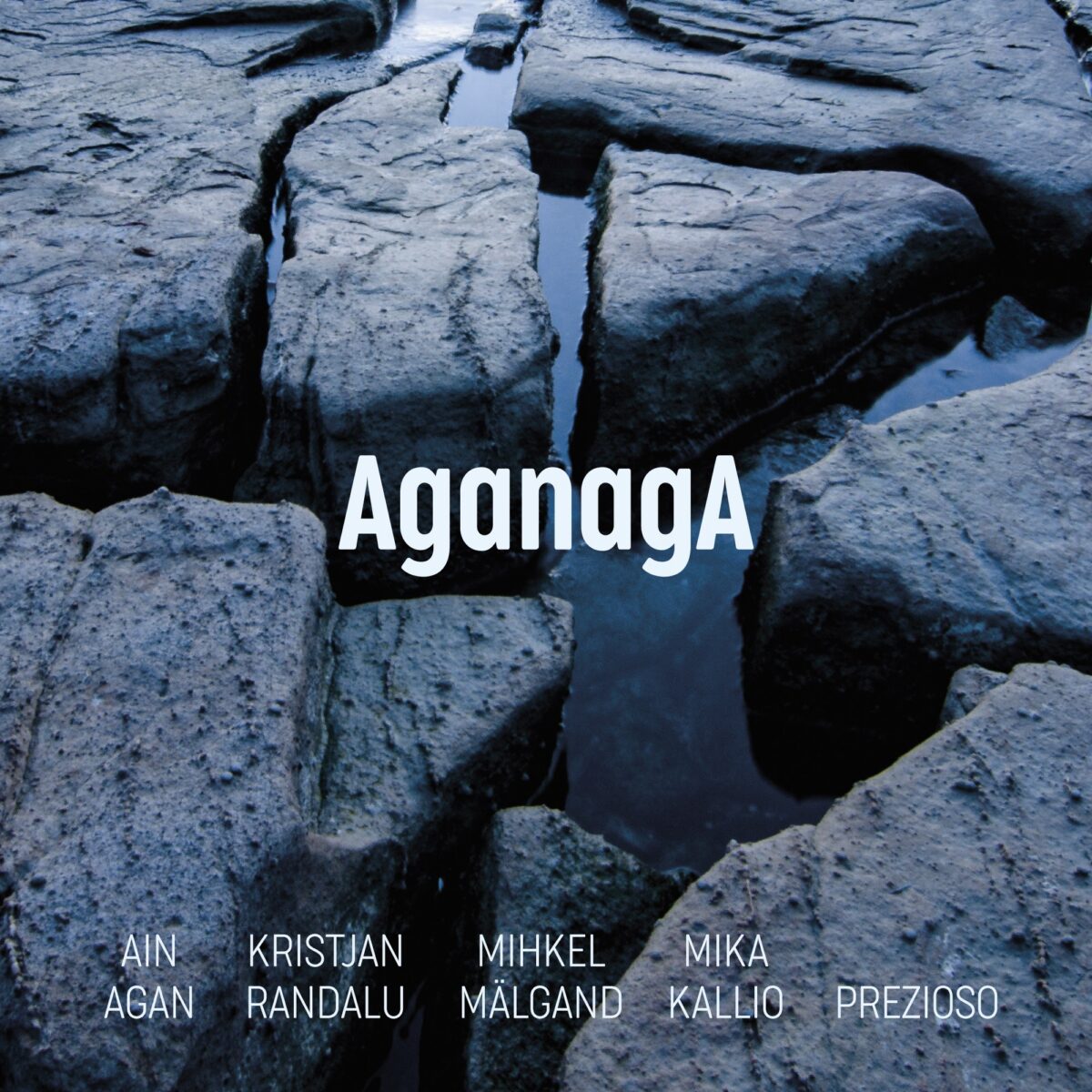 AganagA. Agan, Randalu, Mälgand, Kallio, Prezioso / Ain Agan
