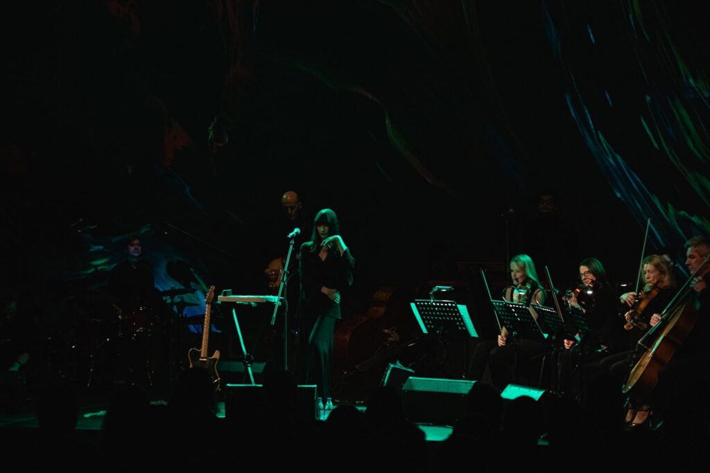 Ei ole siin curioosset midagi