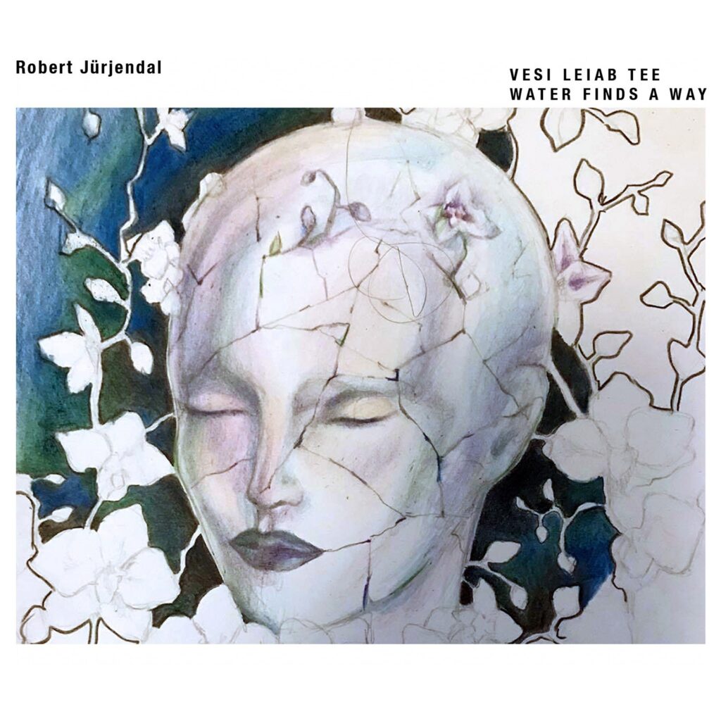 Robert Jürjendal. Vesi leiab tee / Newdog Records
