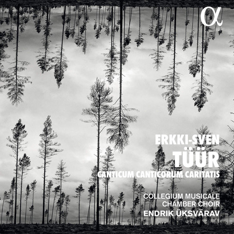 Erkki-Sven Tüür “Canticum Canticorum Caritatis”. Collegium Musicale, Endrik Üksvärav