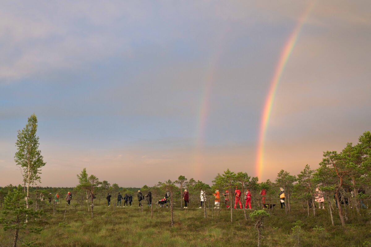 Suvefestivalide &otilde;itsengus Eesti